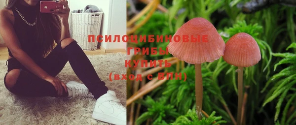 бутират Кинешма
