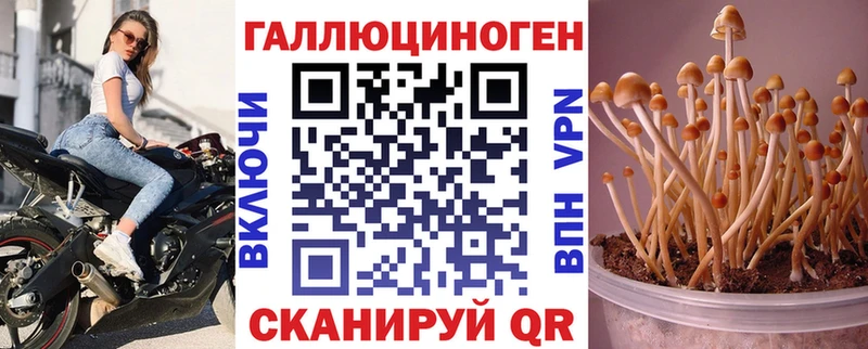 shop телеграм  Краснозаводск  Галлюциногенные грибы Magic Shrooms 
