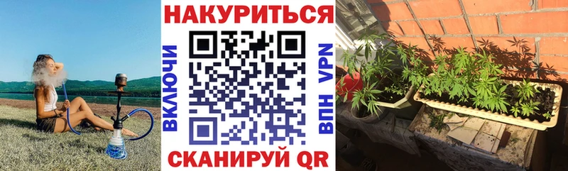 Конопля конопля  купить наркоту  Краснозаводск 